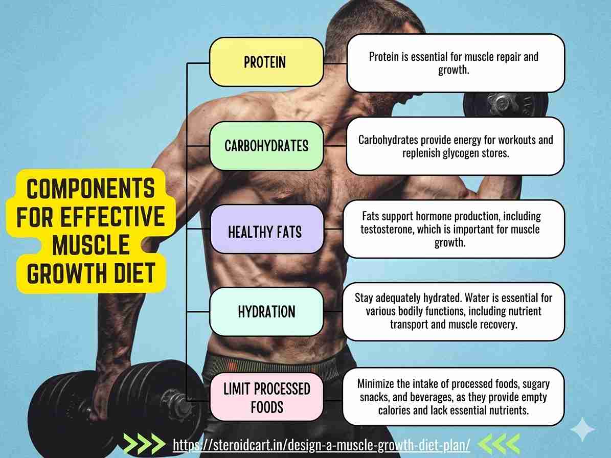 best-foods-to-build-muscle-quickly-and-safely