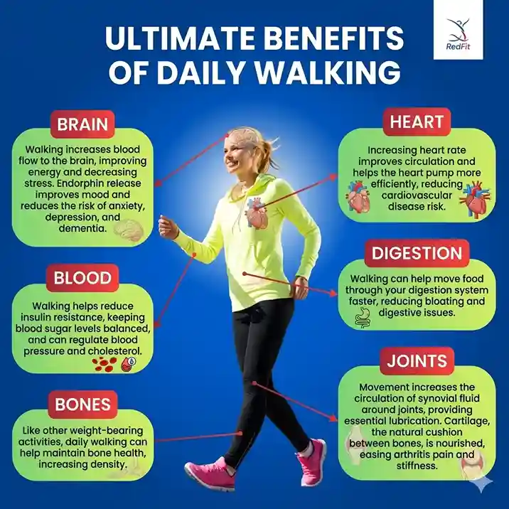 burn-calories-and-maintain-a-healthy-weight
