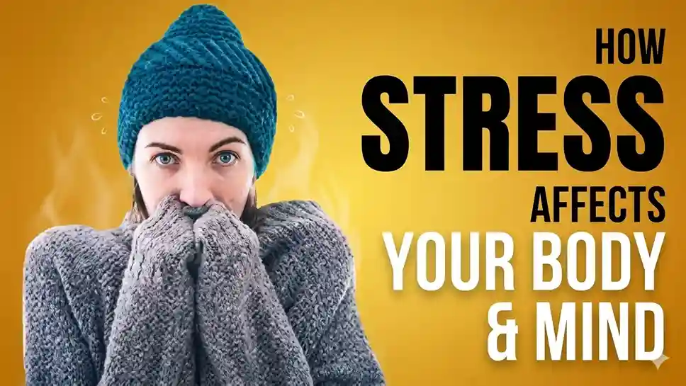 why-stress-can-lead-to-weight-gain